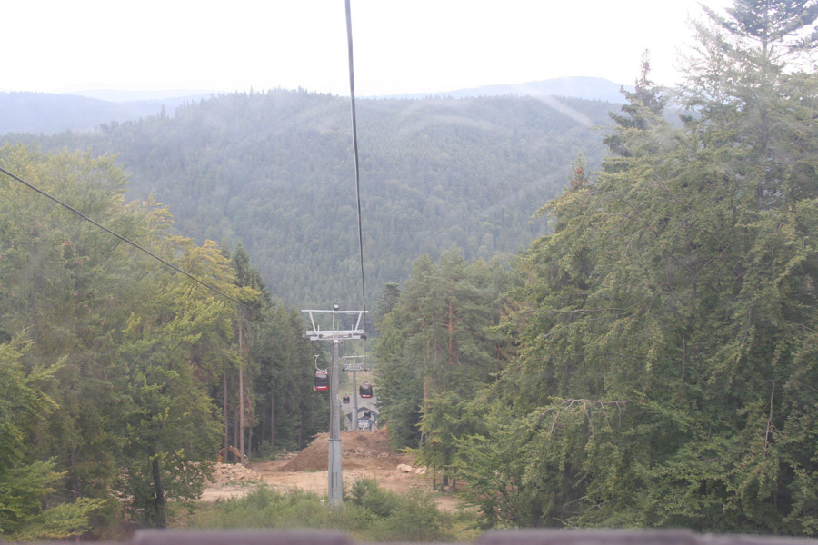 bardejwkrynicagorlice200724.jpg