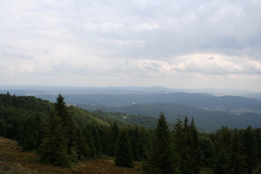 bardejwkrynicagorlice200730.jpg