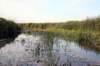 zdjciazdolinybiebrzyiszlakutatarskiego200617_small.jpg