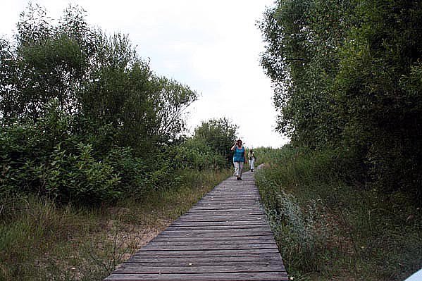 zdjciazdolinybiebrzyiszlakutatarskiego200631.jpg
